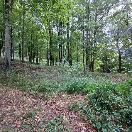 Nyaraló Independant Dans Demeure Typique D'exception Saint-Vincent-de-Salers