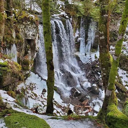 Independant Dans Demeure Typique D'exception Saint-Vincent-de-Salers