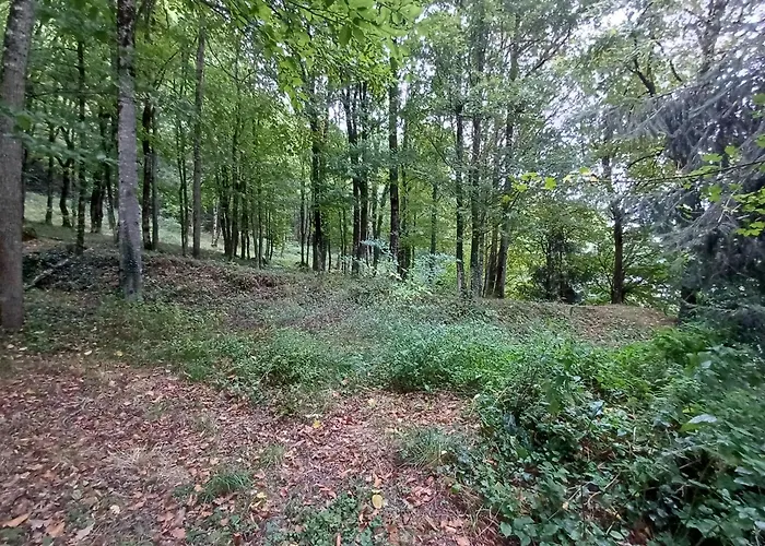 Holiday home Independant Dans Demeure Typique D'exception Saint-Vincent-de-Salers