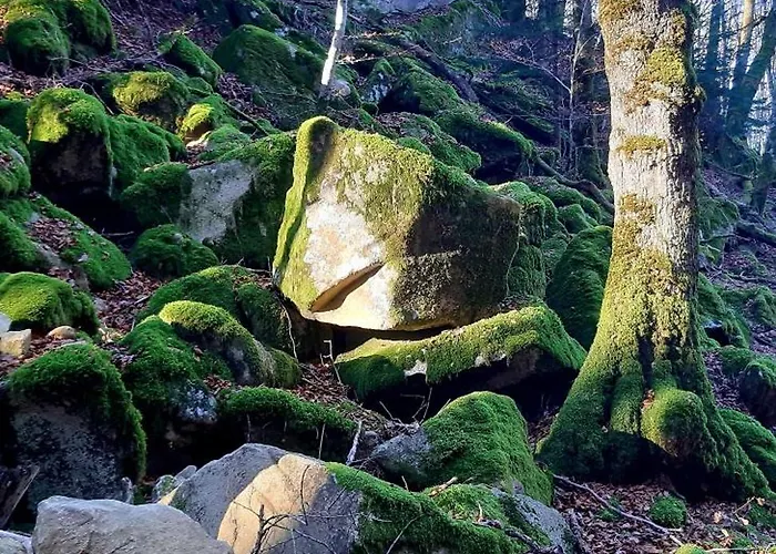 Holiday home Independant Dans Demeure Typique D'exception Saint-Vincent-de-Salers