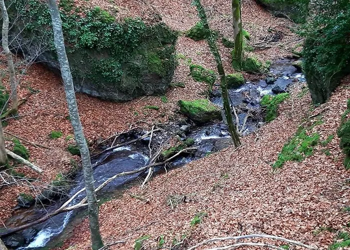 Independant Dans Demeure Typique D'exception * Saint-Vincent-de-Salers