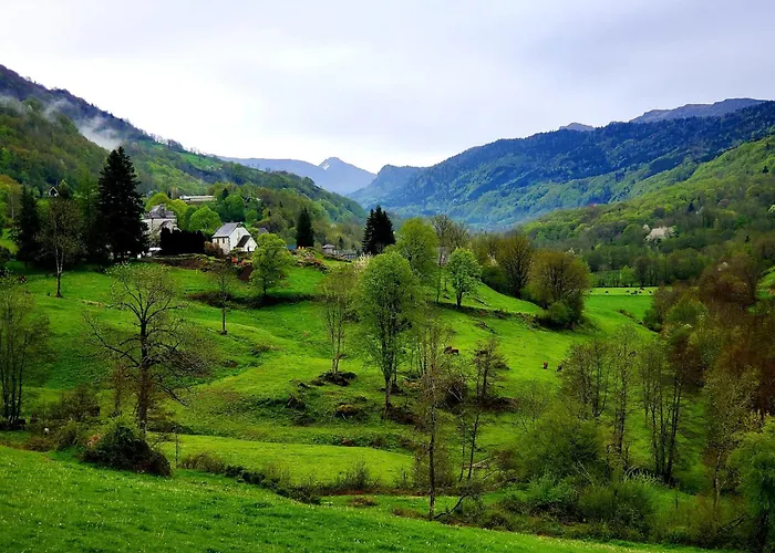 Independant Dans Demeure Typique D'exception * Saint-Vincent-de-Salers